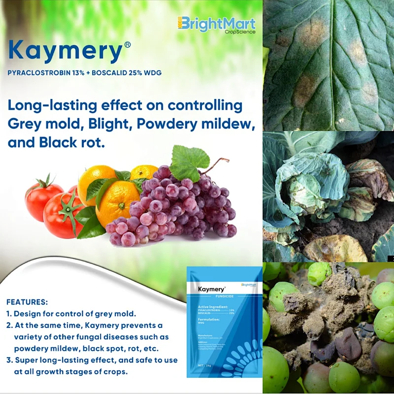 Pyraclostrobin + Boscalid Fungicide | Long-lasting effect on controlling Grey mold, Blight, Powdery mildew, and Black rot.
