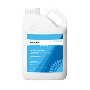 Trifloxystrobin + Tebuconazole Fungicide | Broad spectrum fungicide with regulating growth function and increase yields