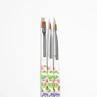 Custom Exclusive 3 Piece Set Nail Art Pen Colorful Nylon Hair Nail Design Brush