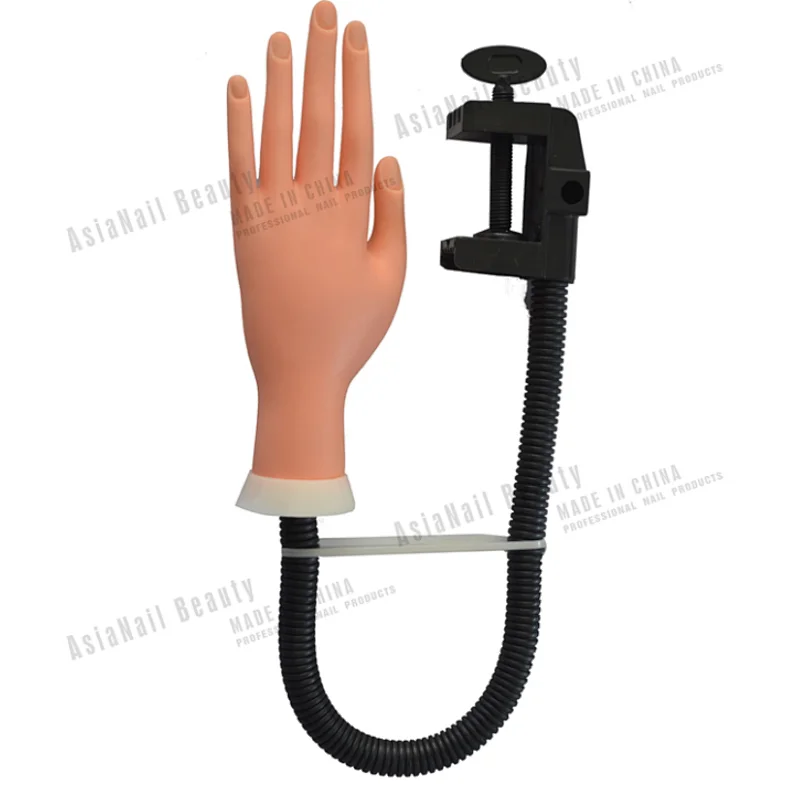 Practice Hand With Holder