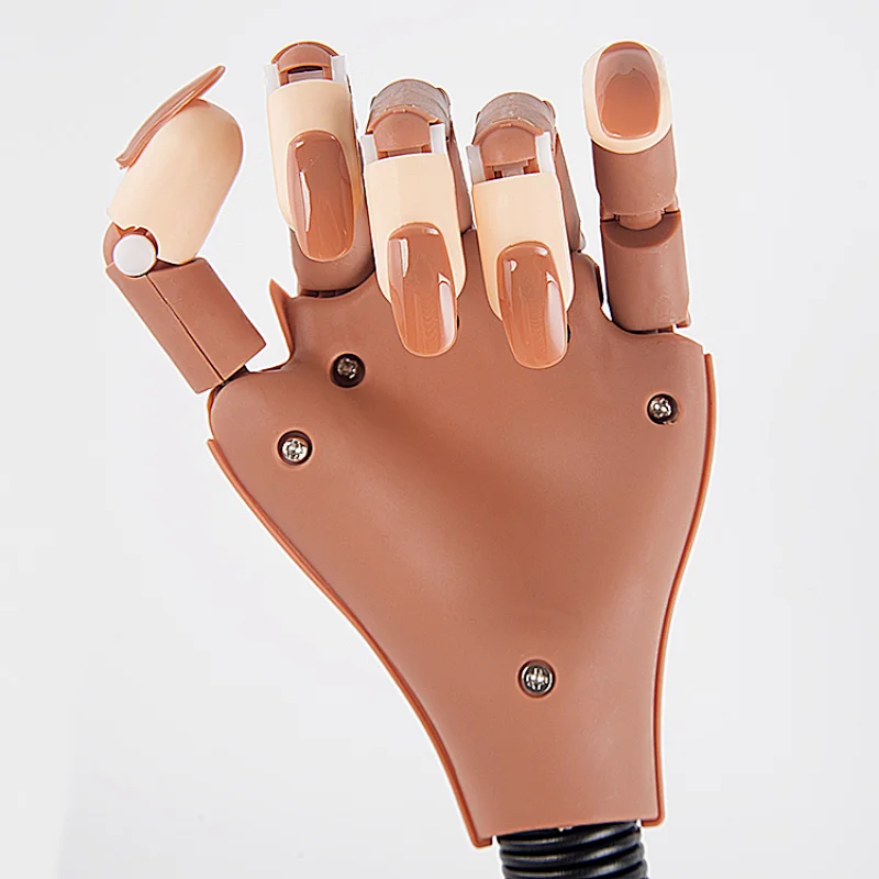 Practice Hand With Holder