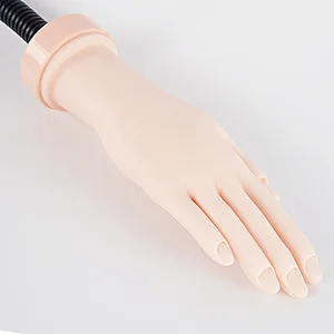 Practice Hand With Holder