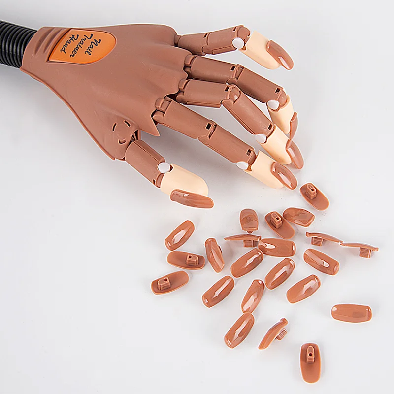 Practice Hand With Holder