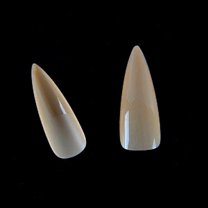 Nail Gel Tips