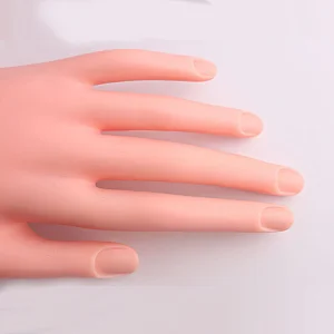 Practice Hand With Holder