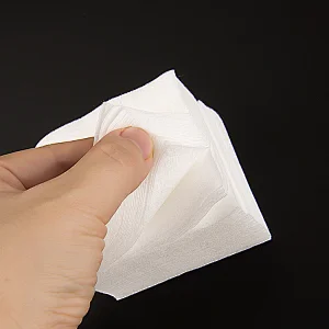Cleaning Pad