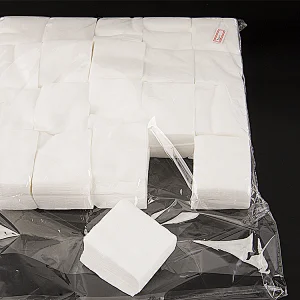Cleaning Pad