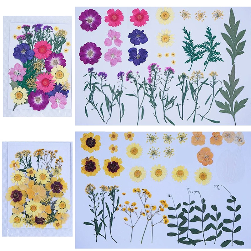Dried Flowers