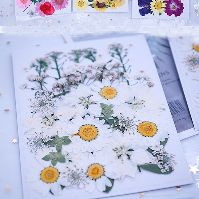 Dried Flowers