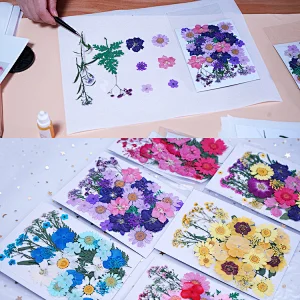 Dried Flowers