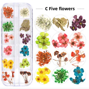 Natural Dry Flower