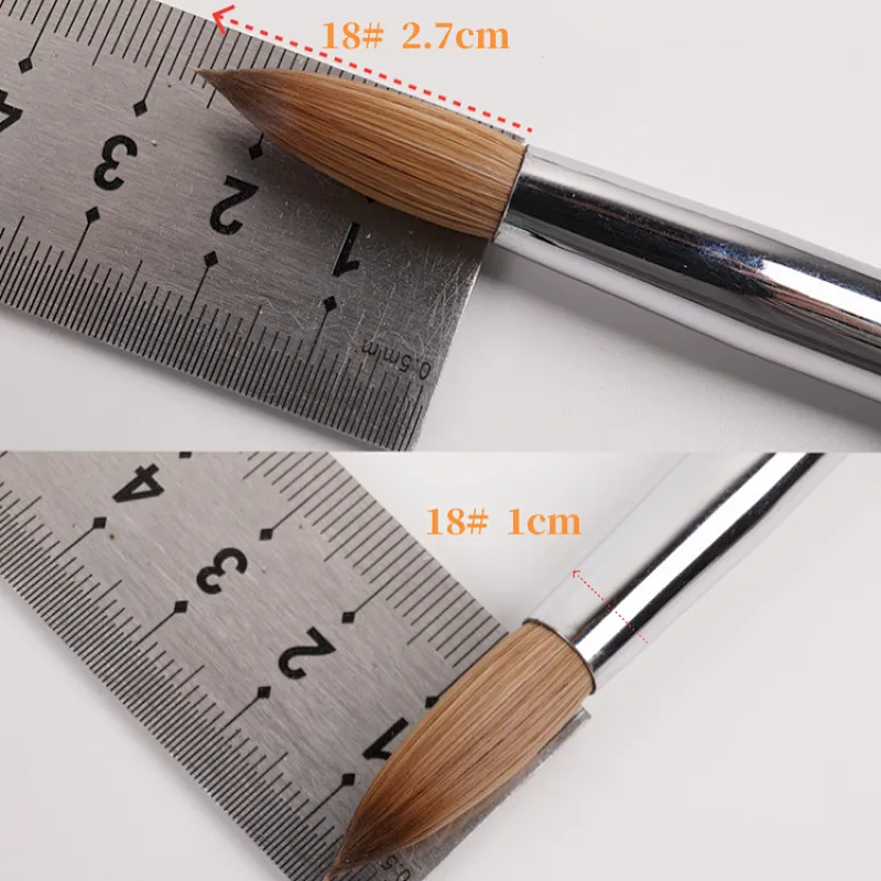 Acrylic Nails Art Brush