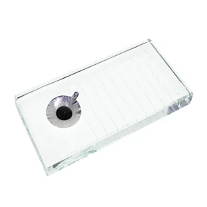 Eyelash Extensions Foil Sticker