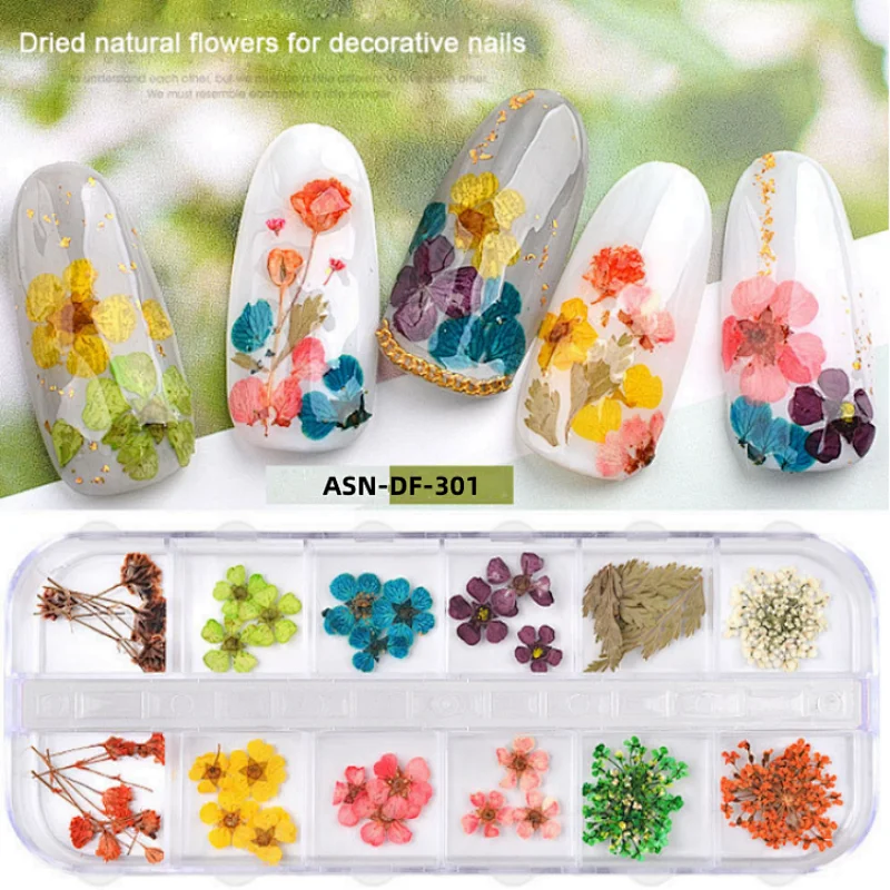 Natural Dry Flower