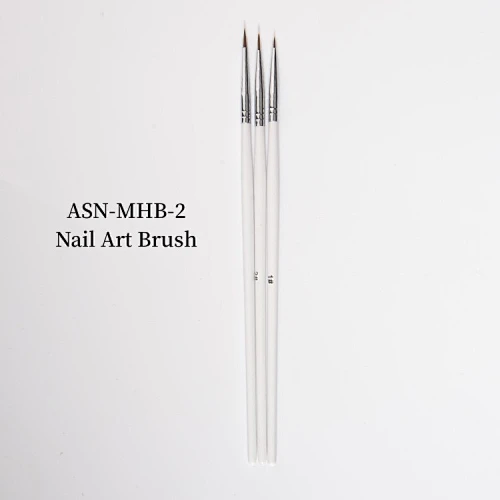 Nail Art Brush Set