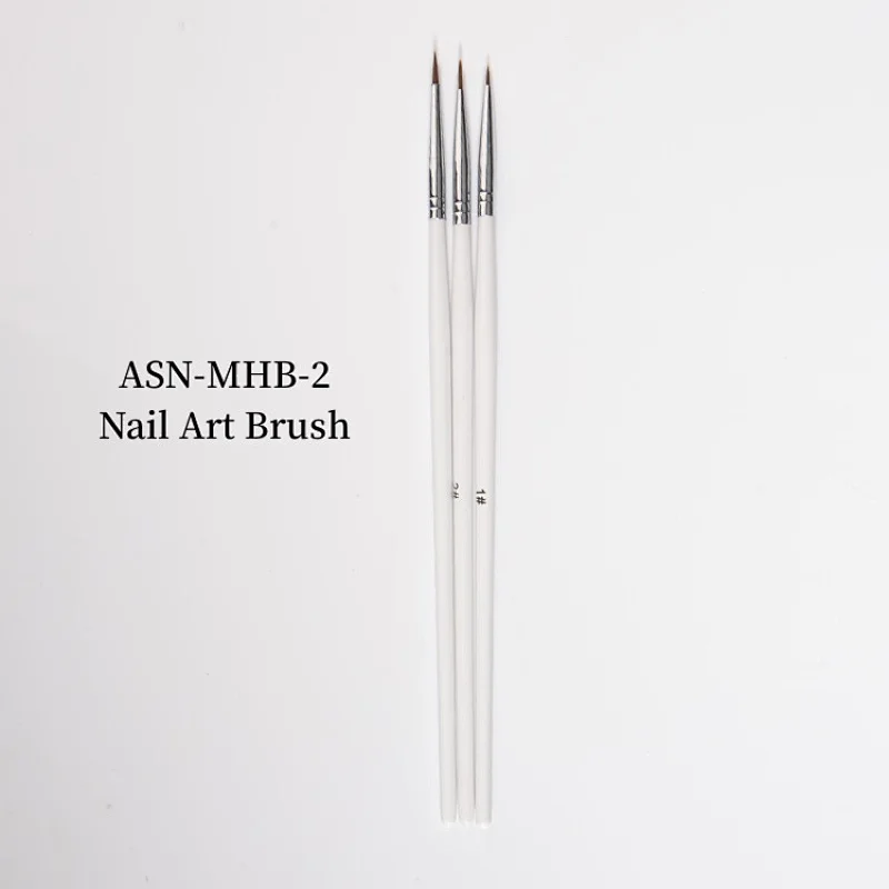 Nail Art Brush Set