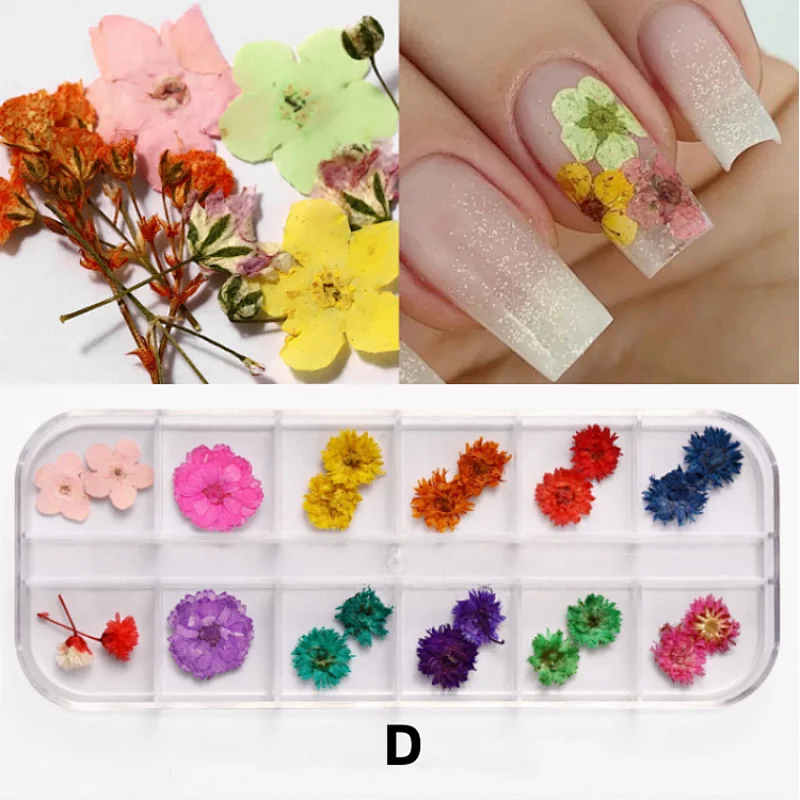 Natural Dry Flower