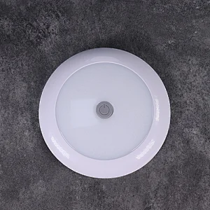 rv ceiling lights with switch