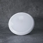 Waterproof 12v LED rv ceiling light