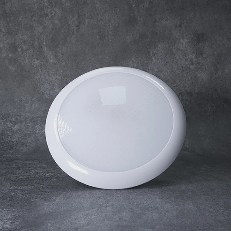 Waterproof 12v LED rv ceiling light