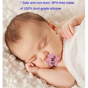 Wholesale Funny Baby Pacifier Bpa Free Silicone Flower Pacifier