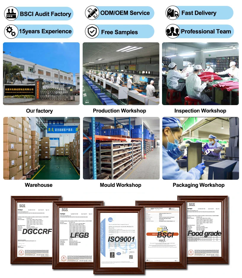 BSCI audit factory