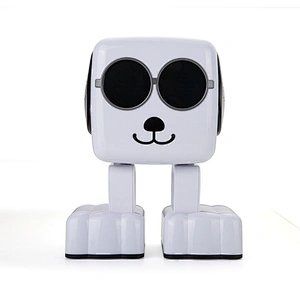 2020 intelligent smart remote radio control mini toy kids robot for adults