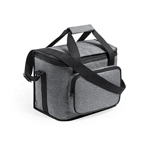 Erik Portable Reusable Insulated Cooler Bag With 2 Color For Camping School And Road Trips