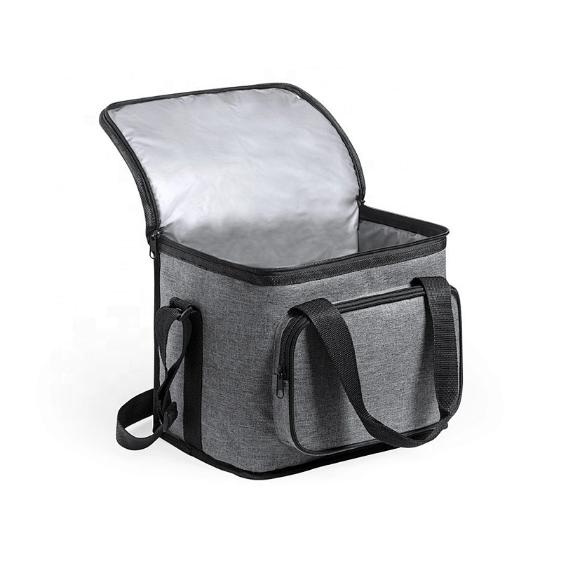Erik Portable Reusable Insulated Cooler Bag With 2 Color For Camping School And Road Trips