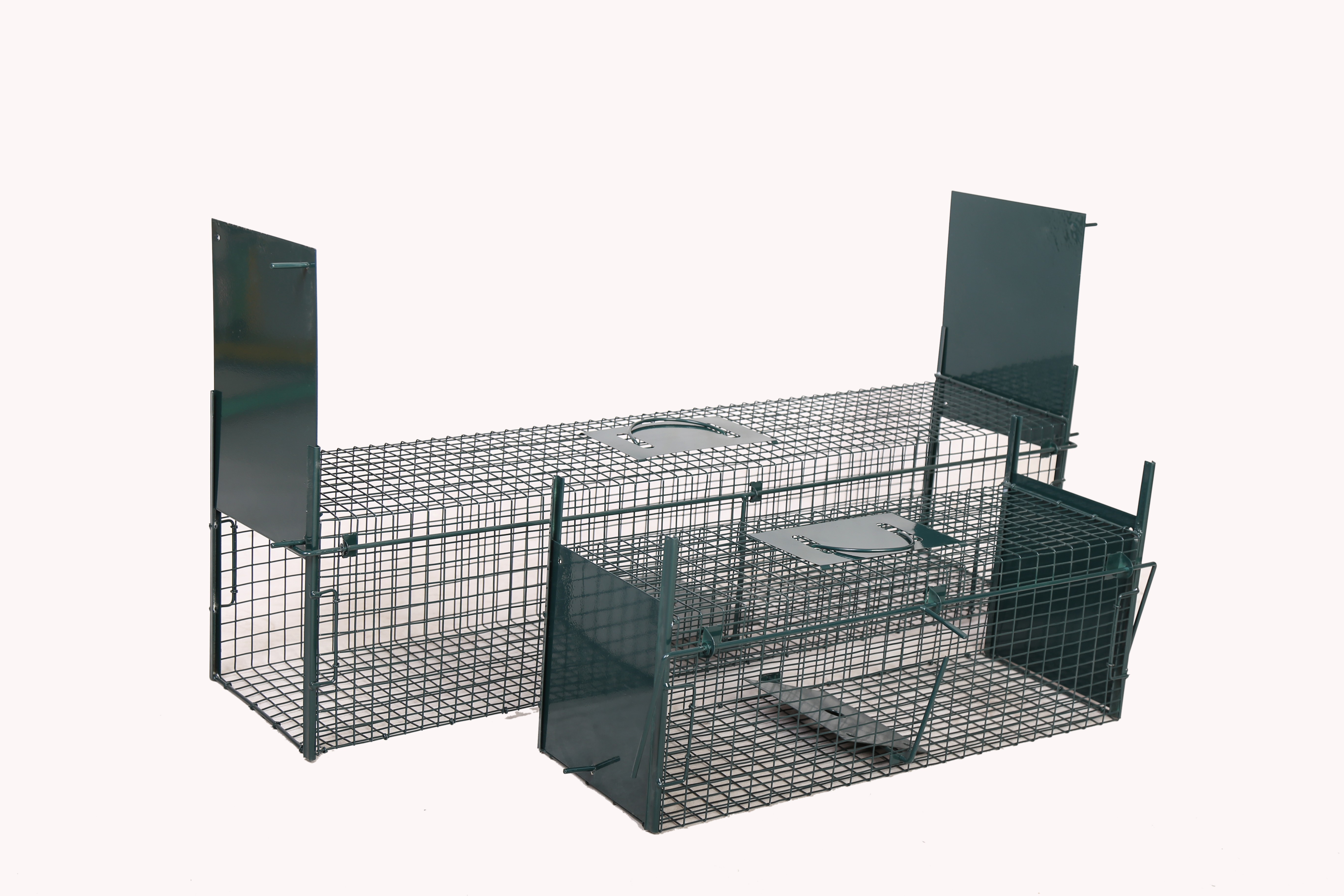 Humane Ways to Trap Animals with Animal Traps