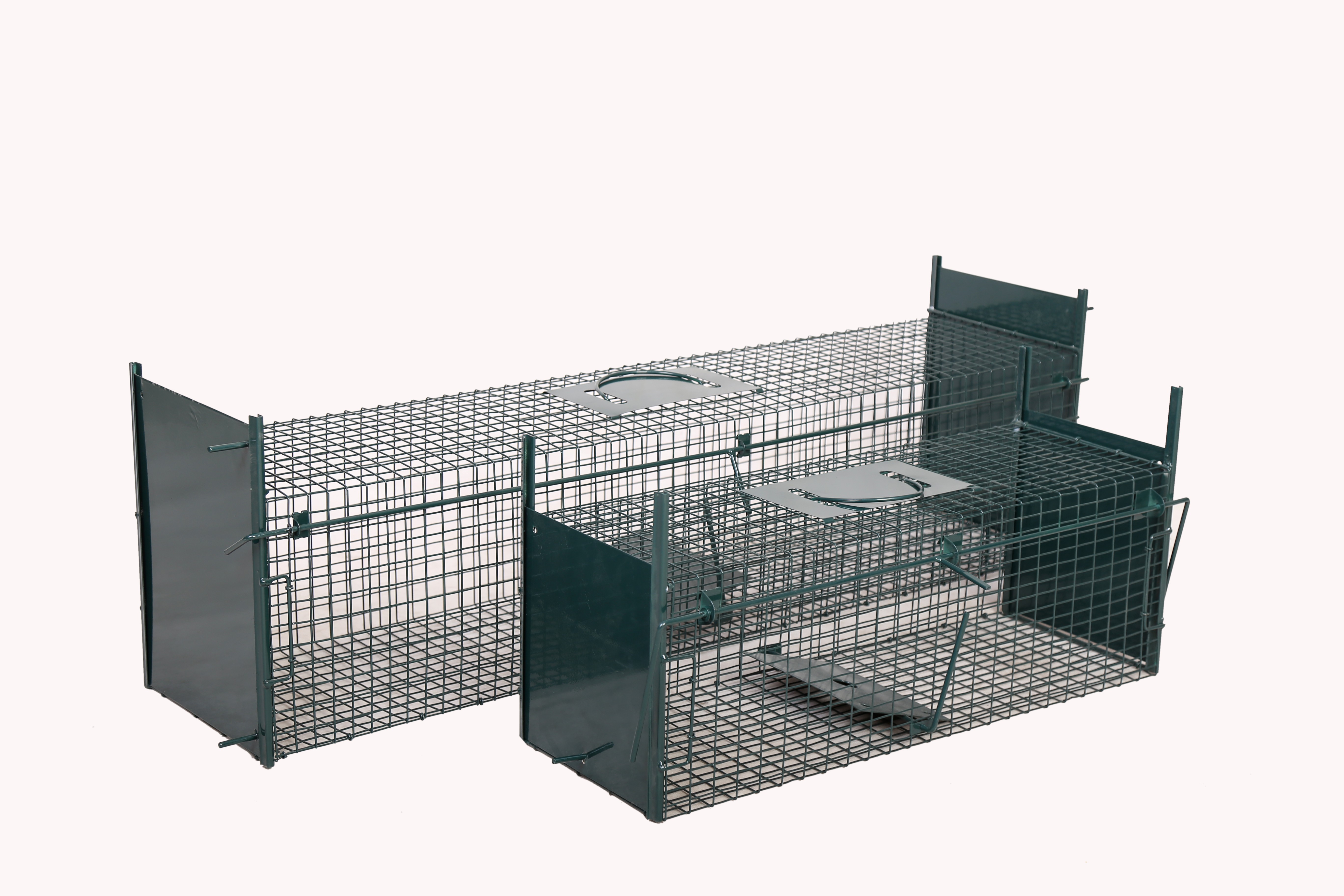 An Overview of Different Types of Fences for Small Animal Traps