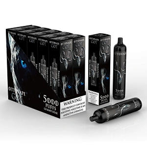 GOT 5000 Puffs Recharge Disposable Vape