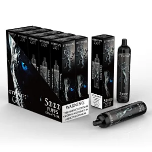 GOT 5000 Puffs Recharge Disposable Vape