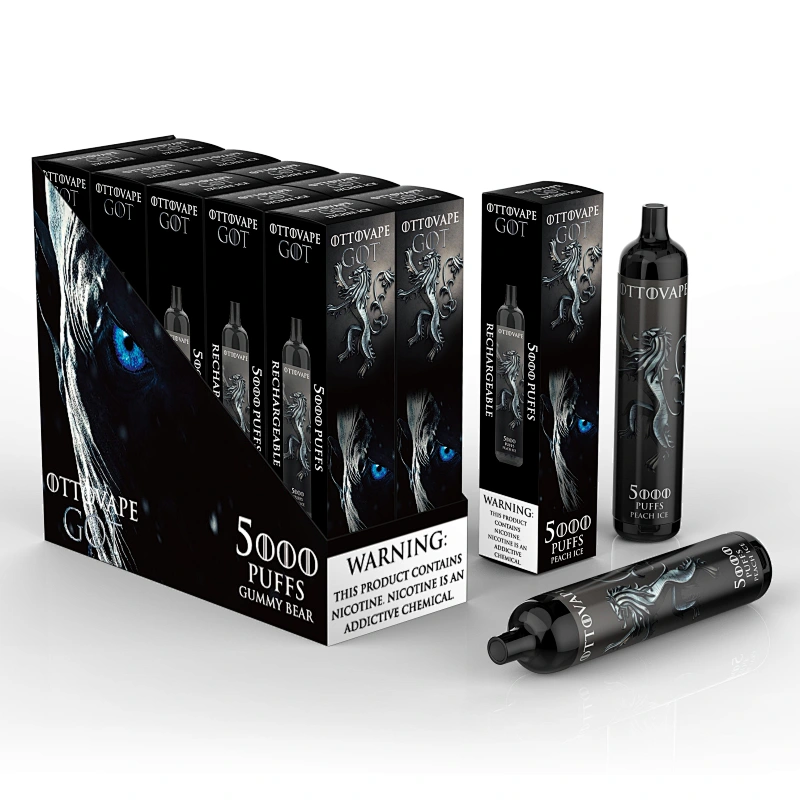 GOT 5000 Puffs Recharge Disposable Vape