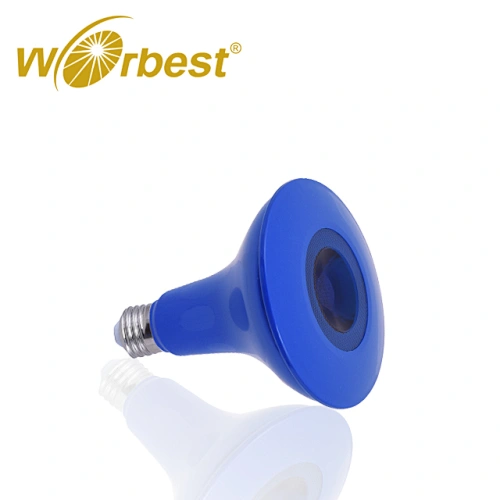 Spot Light Bulb