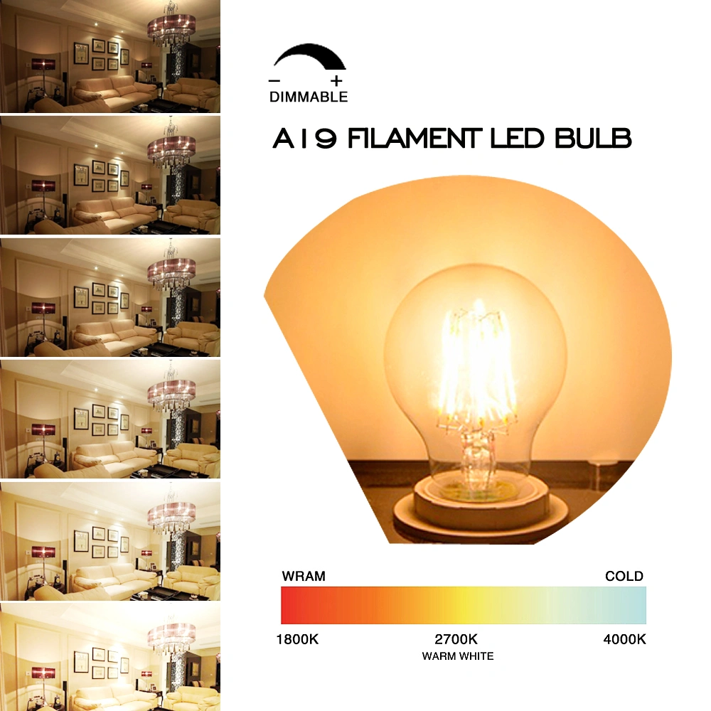 LED Filament Bulbs