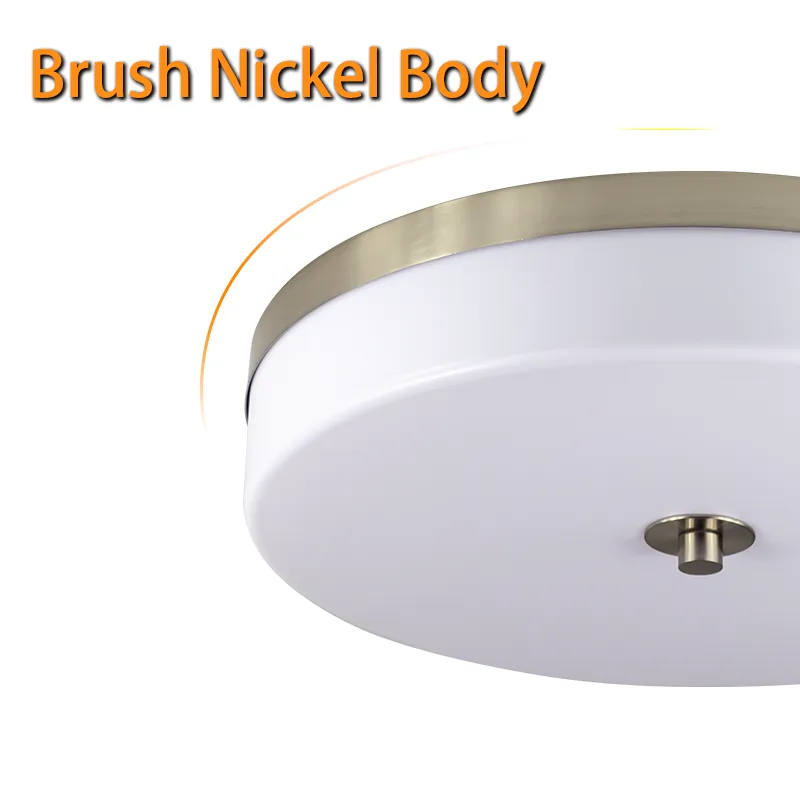 brush nickel body