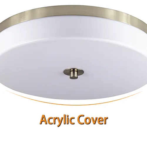 led ceiling light