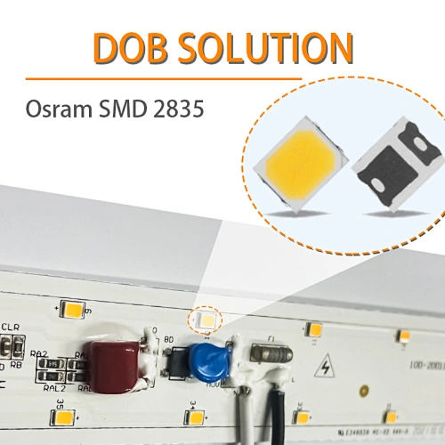 Damp Location LED Vanity Light