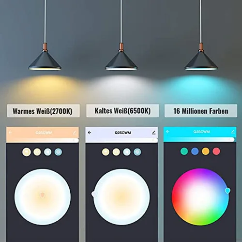 APP and Voice Control bulb
