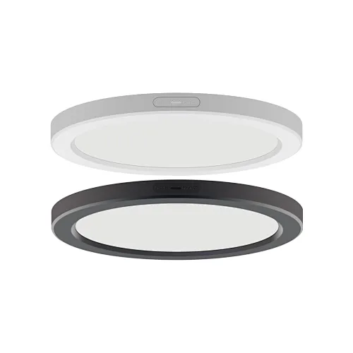 LED Flush Mount Light