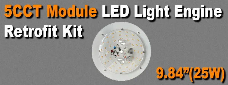 LED Light Module