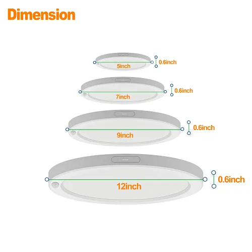 LED Ceiling Light
