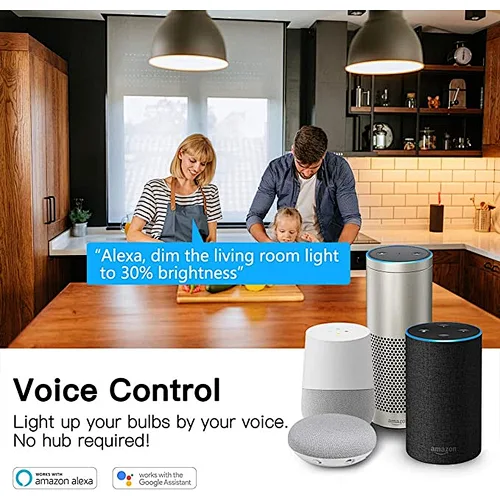 APP and Voice Control bulb