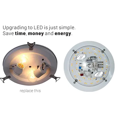 LED Light Engine