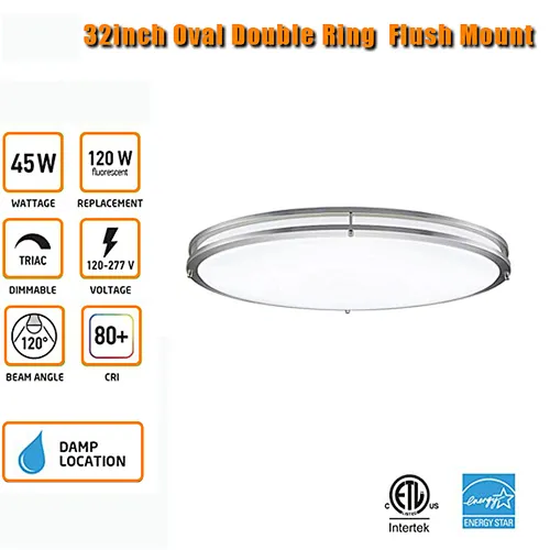 Double Ring LED Ceiling Light