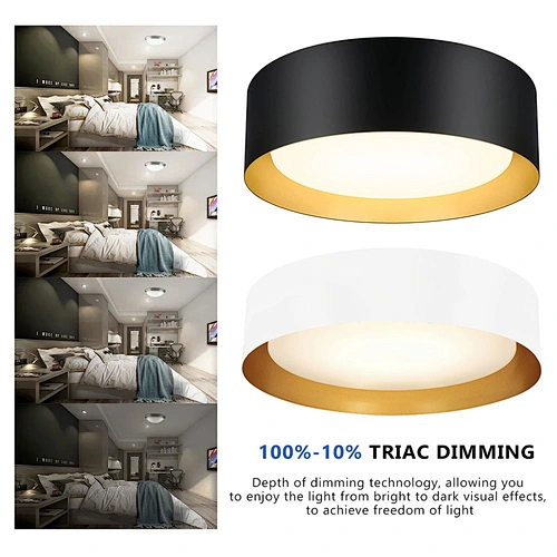Modern Dimmable Ceiling Lamp