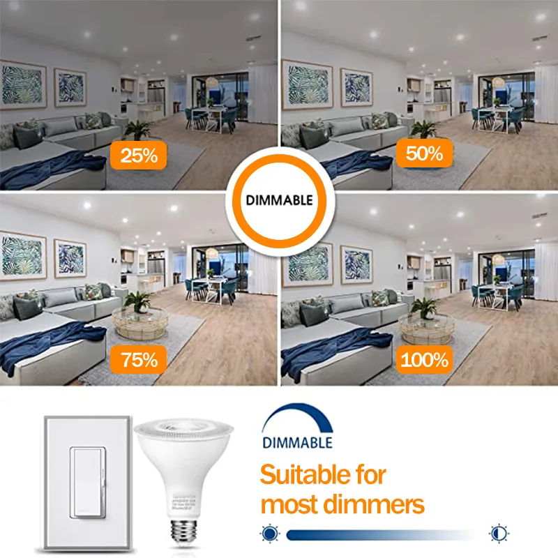 LED Light Bulb