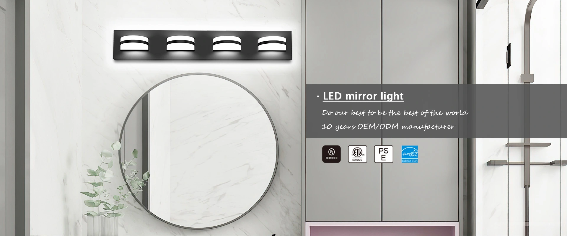 LED mirror light