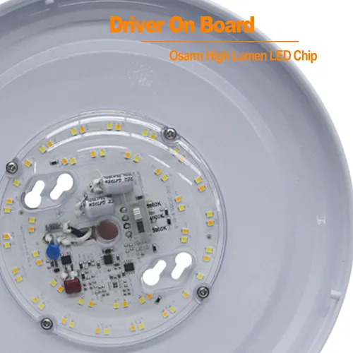 Double Ring LED Ceiling Light